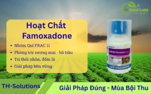 Famoxadone – Hoat chat tru nam hien dai trong Zorvec Encantia 330 SE giai phap ben vung cho cay rau mau Viet Nam