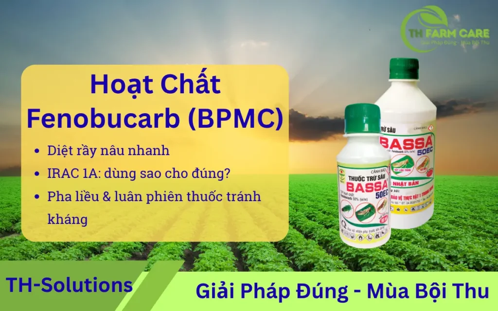 hoat-chat-Fenobucarb-BPMC-Ho-so-hoat-chat-–-co-che-hieu-luc-thuc-dia-huong-dan-su-dung-an-toan
