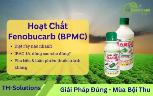 hoat-chat-Fenobucarb-BPMC-Ho-so-hoat-chat-–-co-che-hieu-luc-thuc-dia-huong-dan-su-dung-an-toan