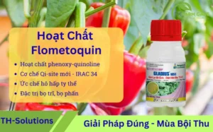 Flometoquin-hoat-chat-phenoxy-quinoline-moi-IRAC-34-uc-che-phuc-hop-III-ho-hap-ty-the-dac-tri-bo-tri-bo-phan-phu-hop-IPM-va-quan-ly-khang-thuoc