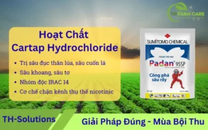 Hoat-Chat-Cartap-Hydrochloride-nhom-nereistoxin-co-che-cong-dung-so-sanh-va-huong-dan-su-dung-an-toan