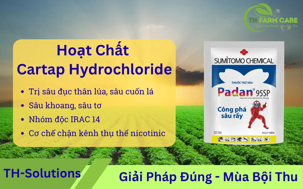 Hoat-Chat-Cartap-Hydrochloride-nhom-nereistoxin-co-che-cong-dung-so-sanh-va-huong-dan-su-dung-an-toan