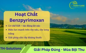 Sơ đồ minh họa hoạt chất Benzpyrimoxan chuyên trị rầy nâu, rầy lưng trắng và côn trùng chích hút kháng thuốc trên lúa