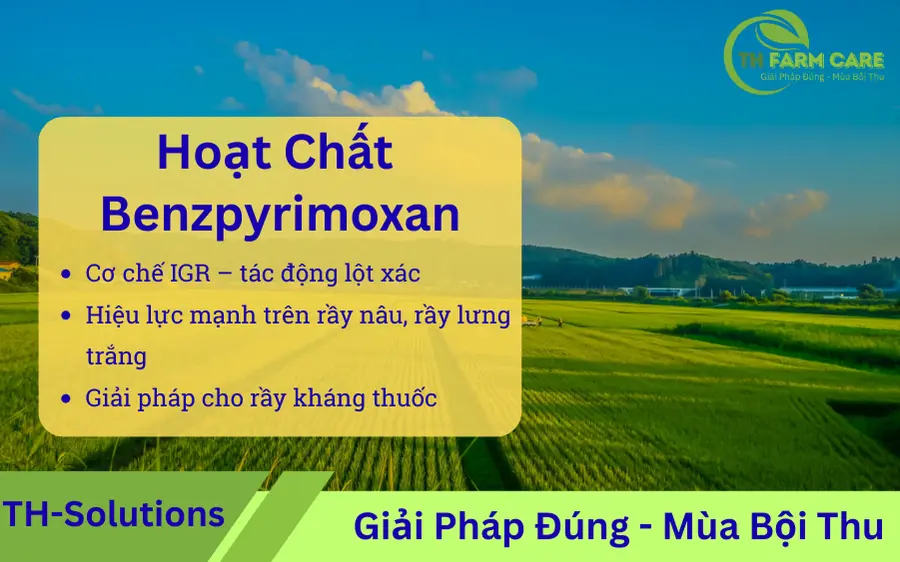 Sơ đồ minh họa hoạt chất Benzpyrimoxan chuyên trị rầy nâu, rầy lưng trắng và côn trùng chích hút kháng thuốc trên lúa