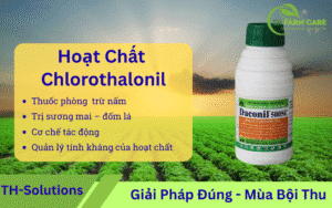 Hoat-chat-Chlorothalonil-Co-che-Cong-dung-Lieu-Dung-Huong-Dan-Thuc-Chien