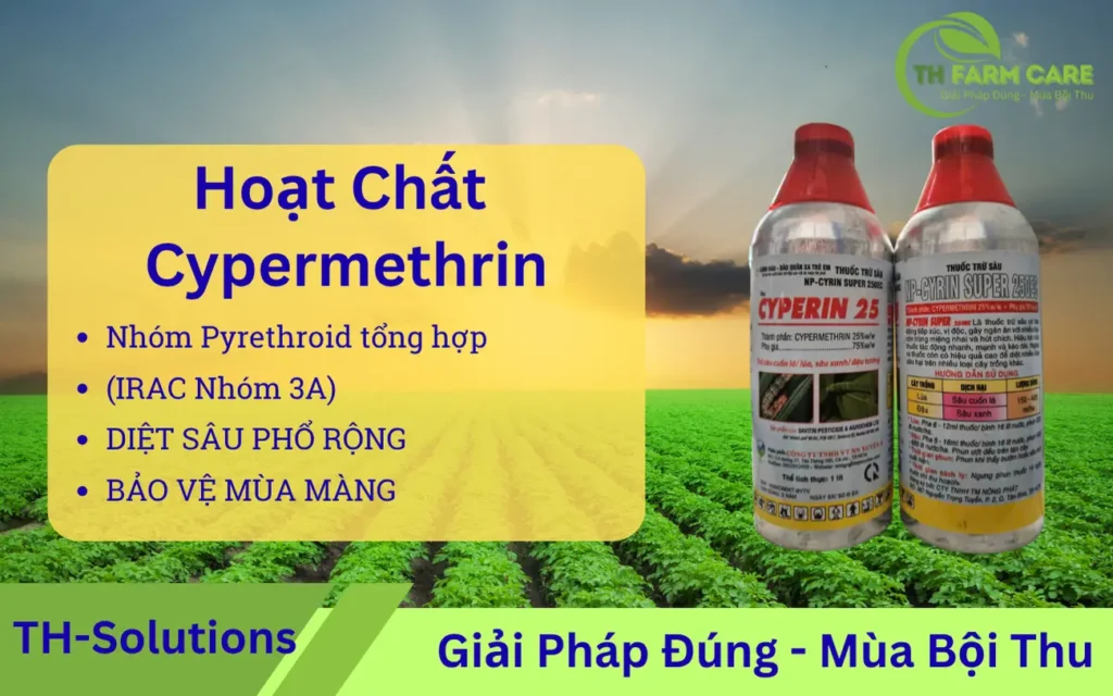 Hoat chat Cypermethrin – Giai phap tru sau pho rong hieu luc cao