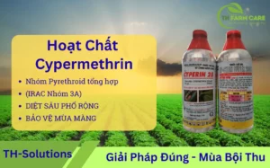Hoat chat Cypermethrin – Giai phap tru sau pho rong hieu luc cao