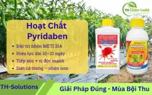 Hoat-chat-Pyridaben-Acaricide-METI-nhom-21A-trong-quan-ly-nhen-hai-tren-cay-trong
