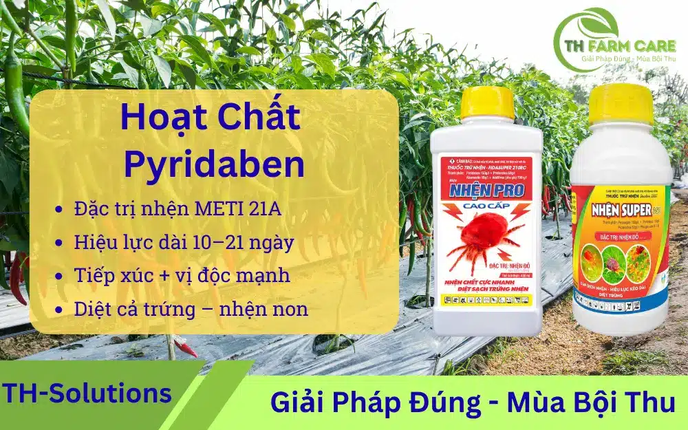 Hoat-chat-Pyridaben-Acaricide-METI-nhom-21A-trong-quan-ly-nhen-hai-tren-cay-trong