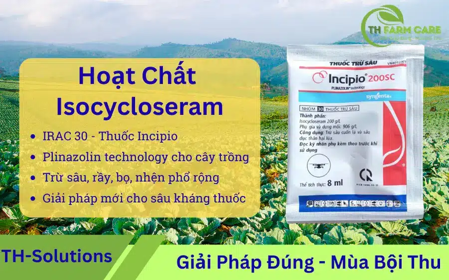 Isocycloseram la gi Hoat chat isoxazoline nhom 30 IRAC Plinazolin tru sau ray bo nhen hai cay trong