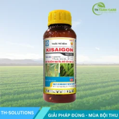 KISAIGON-50EC-Dac-tri-dao-on-kho-van-hai-lua-Iprobenfos-50