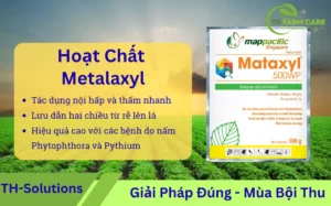 hoat-chat-Hoạt chất Metalaxyl — Cơ chế, công dụng, hướng dẫn sử dụng & quản lý kháng