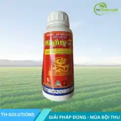 Mighty-560SC-Tac-dong-kep-manh-me-dac-tri-suong-mai-than-thu-dom-la-Azoxystrobin-Chlorothalonil