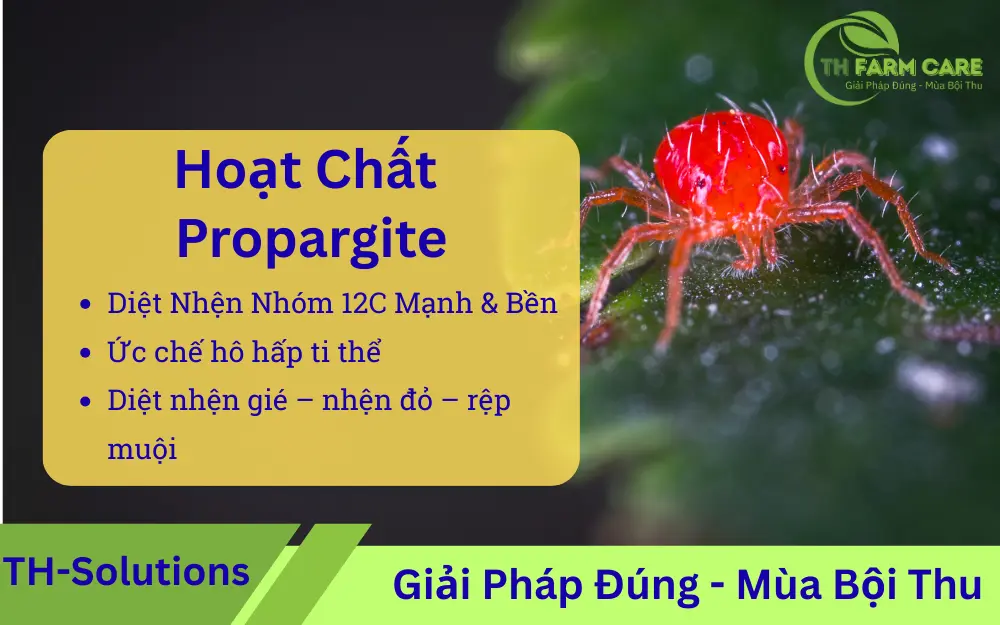 Propargite-Hoat-chat-tru-nhen-nhom-12C-Phan-tich-chuyen-sau
