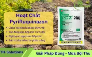 Pyrifluquinazon-hoat-chat-chan-an-con-trung-chich-hut-nhom-IRAC-9B