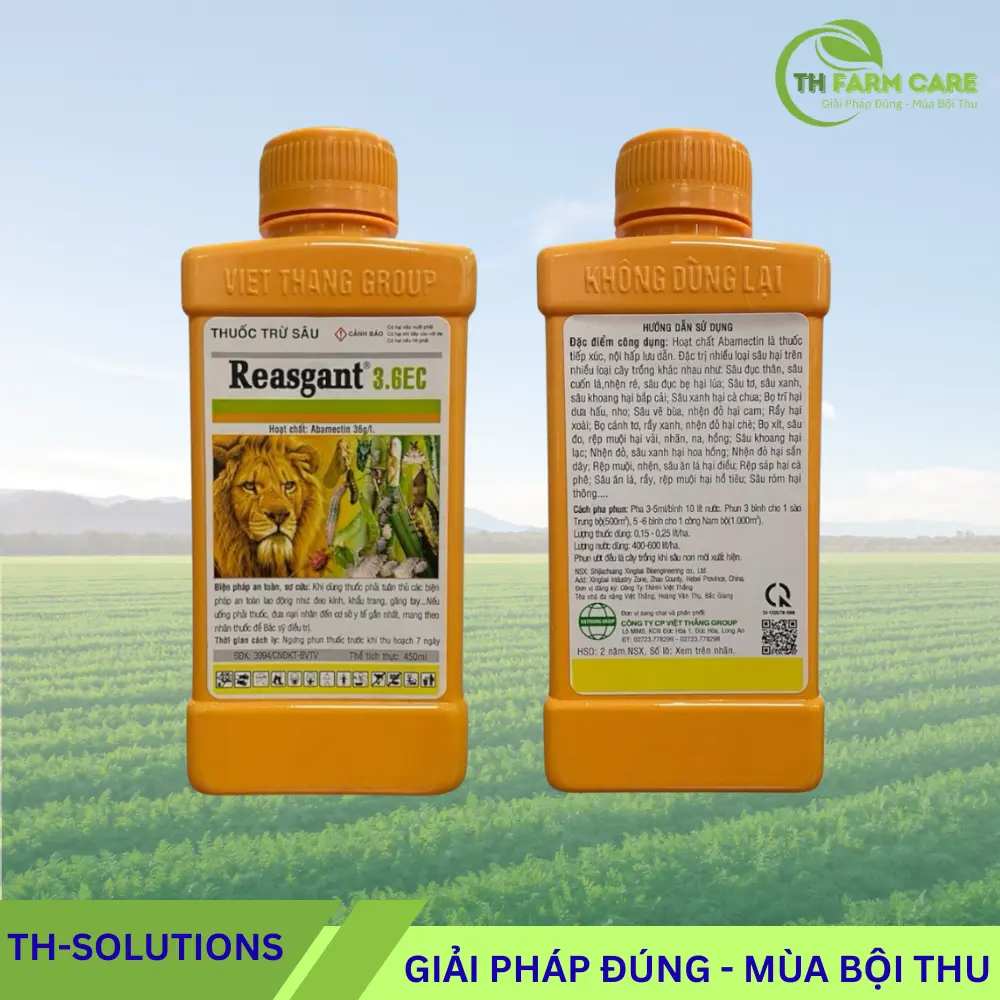 Reasgant 3.6EC – Thuốc trừ sâu Abamectin 36 g/l trị nhện đỏ, bọ trĩ, sâu cuốn lá TTH Agro Reasgant-3.6EC-Thuoc-tru-sau-Abamectin-36-gl-tri-nhen-do-bo-tri-sau-cuon-la