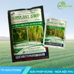 STOPLANT-5WP-Uniconazole-5-ww-Thuoc-dieu-hoa-sinh-truong-Chong-do-nga-Kich-hoa