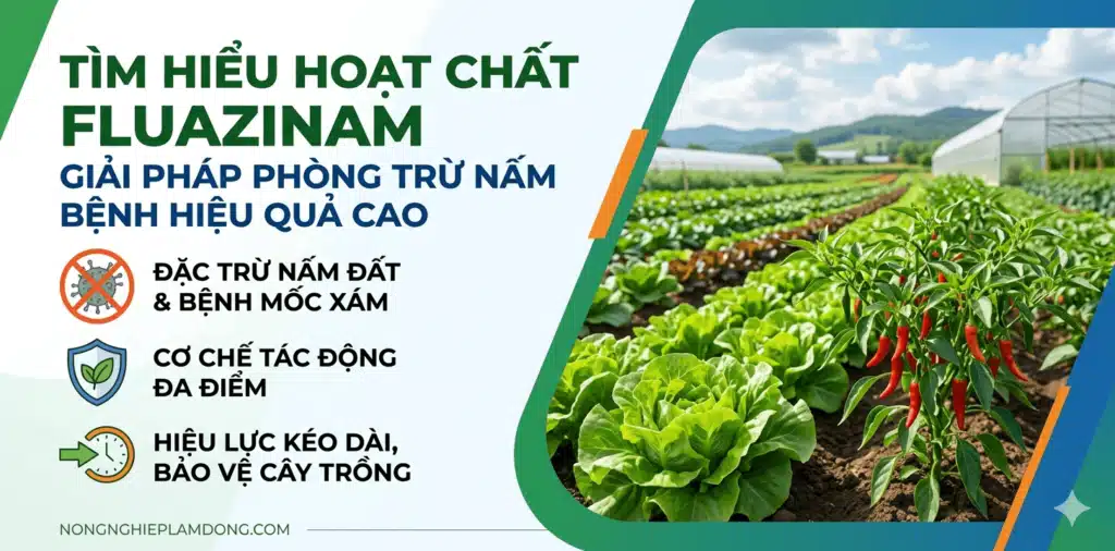 hoat-chat-Fluazinam-la-gi-Co-che-ung-dung-va-cach-phong-benh-suong-mai-hieu-qua