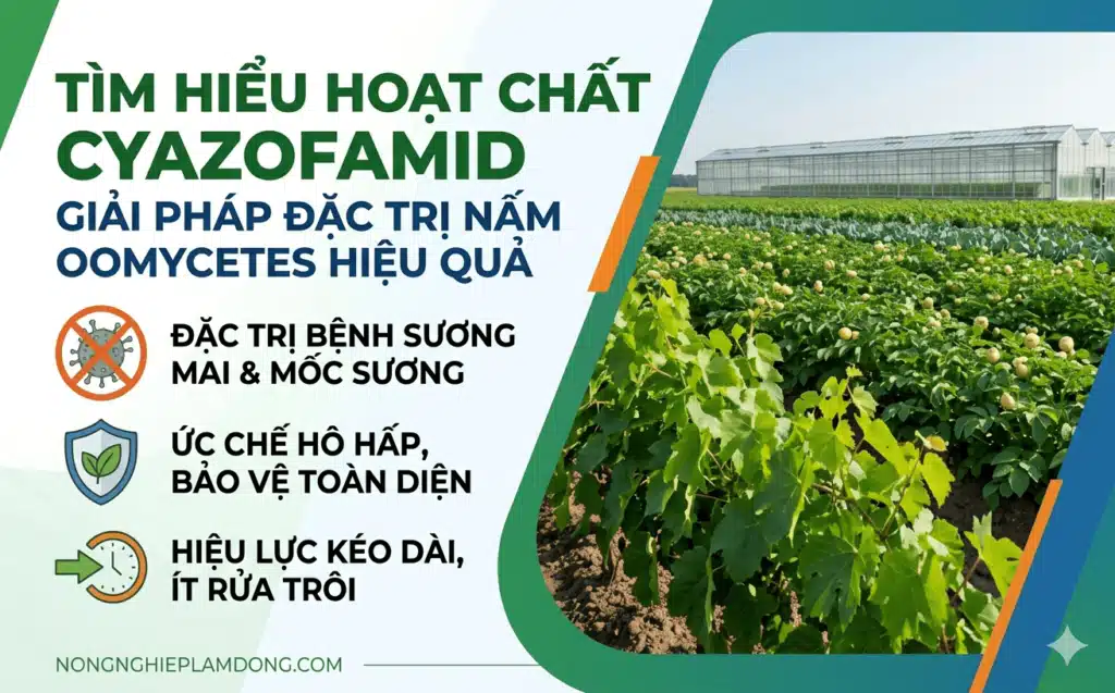 Hoat-chat-Cyazofamid-Co-che-tac-dong-ung-dung-va-quan-ly-khang-trong-nong-nghiep