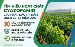 Hoat-chat-Cyazofamid-Co-che-tac-dong-ung-dung-va-quan-ly-khang-trong-nong-nghiep