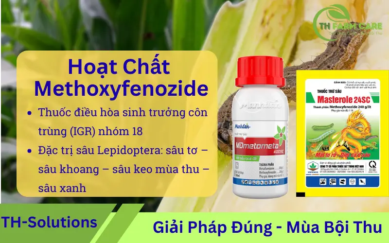 Methoxyfenozide-la-gi-Danh-sach-san-pham-chua-Methoxyfenozide-co-che-tac-dong-cong-dung-cach-su-dung-chuan-ky-thuat