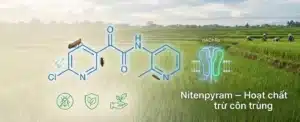 Nitenpyram-Hoat-chat-tru-con-trung-the-he-moi-nhom-Neonicotinoid-Co-che-tac-dong-ung-dung-chuyen-sau-du-lieu-khoa-hoc-va-loi-ich-thuc-tien-trong-san-xuat-nong-nghiep