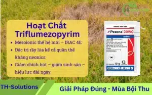 Triflumezopyrim (DPX-RAB55) – hoạt chất mesoionic tác động lên nAChR nhóm 4E, hiệu lực cao đối với rầy nâu kháng neonicotinoid