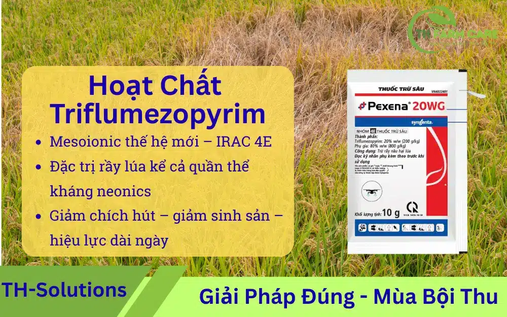 Triflumezopyrim (DPX-RAB55) – hoạt chất mesoionic tác động lên nAChR nhóm 4E, hiệu lực cao đối với rầy nâu kháng neonicotinoid