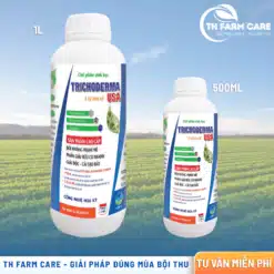 CHẾ PHẨM SINH HỌC TRICHODERMA – BẢO VỆ ĐẤT, KÍCH RỄ KHỎE, TĂNG NĂNG SUẤT BỀN VỮNG