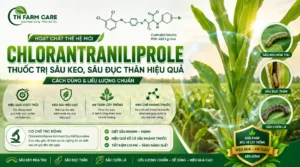 Banner hoạt chất Chlorantraniliprole của TH FARM CARE giúp phòng trừ sâu keo mùa thu, sâu đục thân, sâu cuốn lá trên ngô, lúa và cây nông nghiệp với hiệu quả cao, kéo dài và an toàn cây trồng.