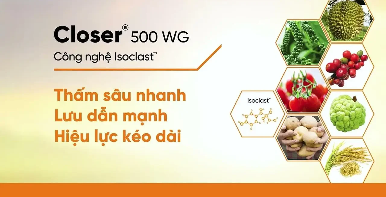 Closer 500WG Corteva - Đặc Trị Rệp Sáp Kháng Thuốc (Công Nghệ Isoclast) TTH Agro Closer 500WG sở hữu công nghệ Isoclast từ Corteva, đặc trị rệp sáp, rầy, rệp kháng thuốc trên sầu riêng, cà phê. Hiệu quả cực nhanh, kéo dài, thời gian cách ly ngắn.