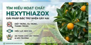 Hexythiazox-la-gi-Co-che-tru-nhen-do-tan-goc-IRAC-10A-cach-dung-hieu-qua-nhat