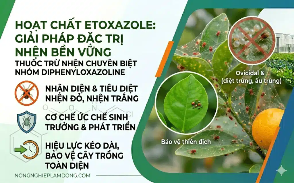 Hoạt chất Etoxazole: Cơ chế Ức chế Chitin & Chiến lược Diệt Trứng Nhện 2026 TTH Agro Hoạt chất Etoxazole Cơ chế Ức chế Chitin & Chiến lược Diệt Trứng Nhện 2026
