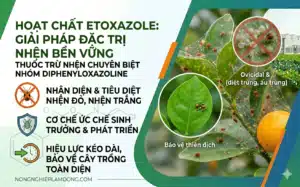 Hoạt chất Etoxazole Cơ chế Ức chế Chitin & Chiến lược Diệt Trứng Nhện 2026