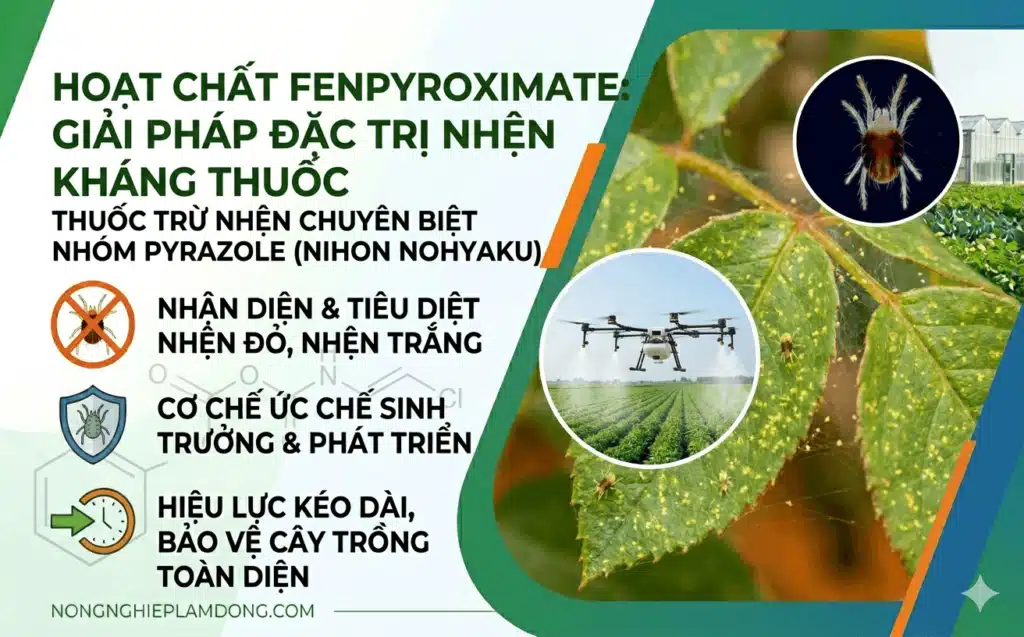 Hoạt chất Fenpyroximate: Cơ chế, Cách dùng & Giải pháp diệt Nhện đỏ 2026 TTH Agro Hoạt chất Fenpyroximate Cơ chế, Cách dùng & Giải pháp diệt Nhện đỏ 2026