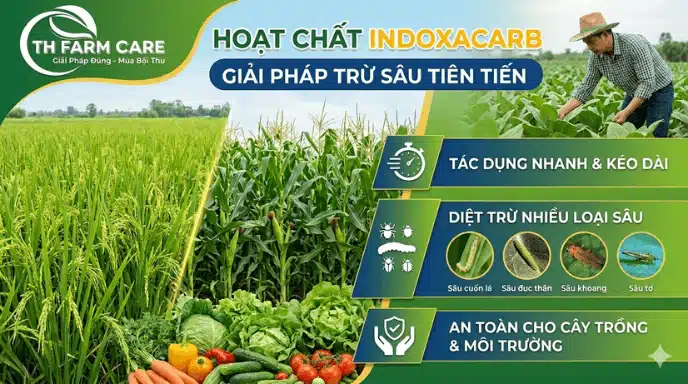 Indoxacarb-la-gi-Co-che-tac-dong-pho-tru-sau-va-ung-dung-trong-nong-nghiep-hien-dai