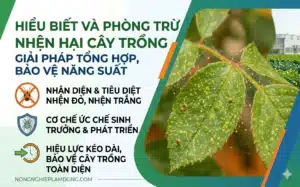 Nhện Hại Cây Trồng 2026 Cách Nhận Biết, Phòng Trị Nhện Đỏ – Nhện Vàng Hiệu Quả