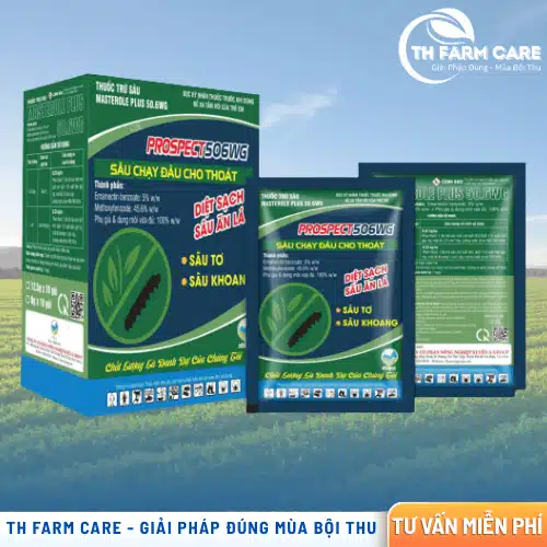 Thuốc Trừ Sâu PROSPECT 506WG – Đột Phá Công Nghệ Diệt Sâu Kháng Thuốc TTH Agro Thuốc Trừ Sâu PROSPECT 506WG – Đột Phá Công Nghệ Diệt Sâu Kháng Thuốc