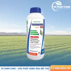 Trichoderma-Nuoc-Xuyen-A-Group-Dot-Pha-Cong-Nghe-Bo-Ba-Vi-Sinh-Bao-Ve-Cay-Trong-Toan-Dien- Nấm đối kháng (Trichoderma), Vi khuẩn hữu ích (Bacillus) và Xạ khuẩn (Streptomyces)