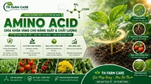 Amino Acid Cho Cây Trồng Công Dụng, Cách Dùng Và Hiệu Quả Trong Nông Nghiệp Hiện Đại