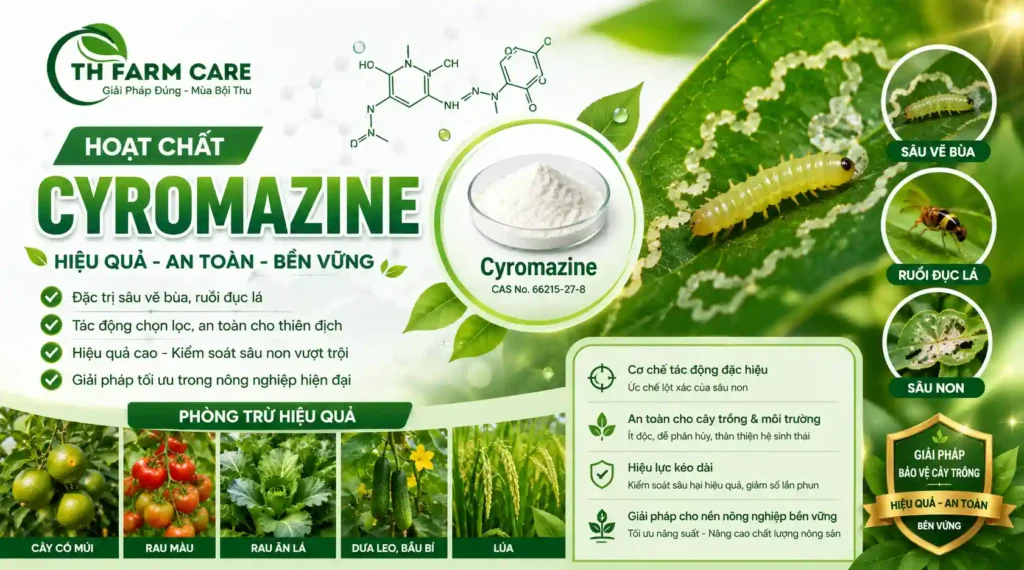 hoạt chất Cyromazine của TH FARM CARE giúp phòng trừ sâu vẽ bùa, ruồi đục lá và sâu non trên rau màu, cây ăn trái và cây nông nghiệp hiệu quả, an toàn, bền vững