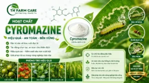 hoạt chất Cyromazine của TH FARM CARE giúp phòng trừ sâu vẽ bùa, ruồi đục lá và sâu non trên rau màu, cây ăn trái và cây nông nghiệp hiệu quả, an toàn, bền vững