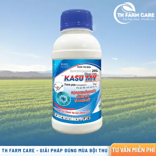 Hoạt Chất Kasugamycin – Đặc Trị Đạo Ôn, Bạc Lá Lúa, Thối Nhũn Rau Và Loét Vi Khuẩn Cây Ăn Quả TTH Agro KASU-MY-Kamycinjapane-20SL-la-thuoc-tru-benh-sinh-hoc-voi-hoat-chat-Kasugamycin-co-tac-dung-kep-trong-phong-ngua-va-dieu-tri-cac-benh-do-vi-khuan-va-nam-gay-ra-tren-lua-va-nhieu-loai-cay-trong
