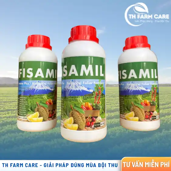 FISAMIL-Amino-Plus-phan-bon-huu-co-Nhat-Ban-giup-phuc-hoi-re-va-tang-hap-thu-dinh-duong