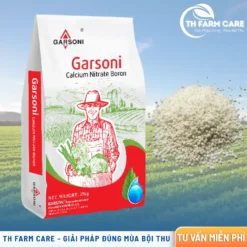 garsoni-calcium-nitrate-boron-cho-sau-rieng-lua-ca-phe