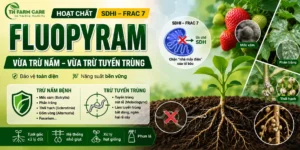 Infographic hoạt chất Fluopyram FRAC 7 của TH Farm Care minh họa cơ chế SDHI ức chế enzyme succinate dehydrogenase (SDH), kiểm soát mốc xám, phấn trắng, thối hạch và tuyến trùng nút rễ trên cây trồng