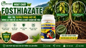 Banner hoạt chất Fosthiazate đặc trị tuyến trùng nút rễ, vàng lá thối rễ cà phê, chết chậm hồ tiêu với sản phẩm Tuyến Trùng Kawa 15GR dạng hạt rải
