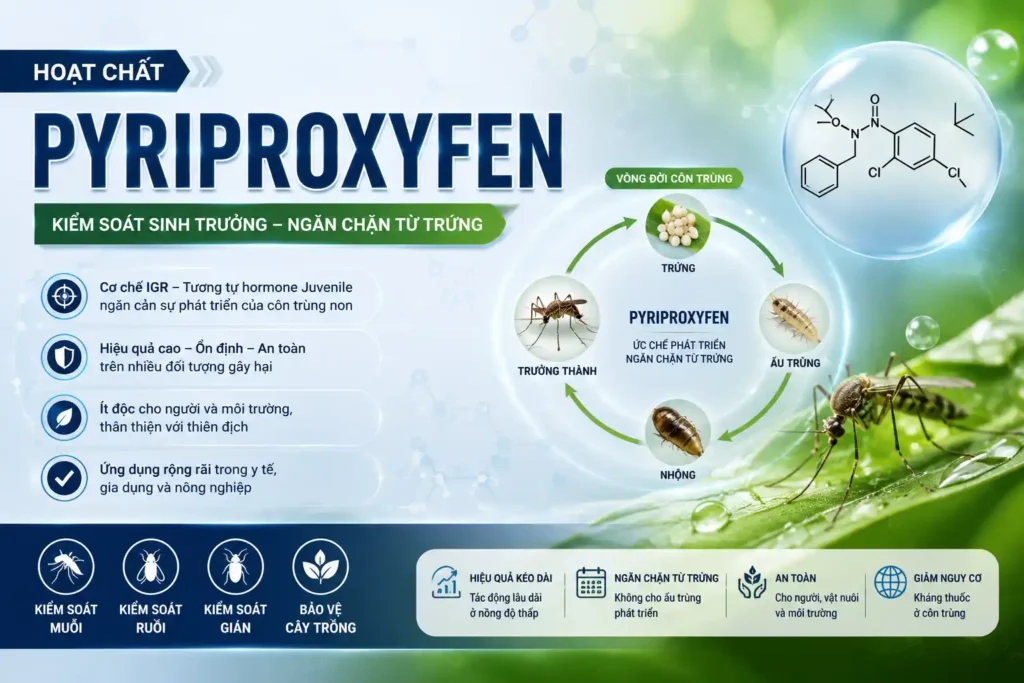 Infographic hoạt chất Pyriproxyfen với cơ chế điều hòa sinh trưởng côn trùng (IGR), ngăn chặn quá trình phát triển từ trứng, ấu trùng đến trưởng thành, ứng dụng phòng trừ rầy, rệp sáp, bọ phấn trắng và các côn trùng gây hại trong nông nghiệp.