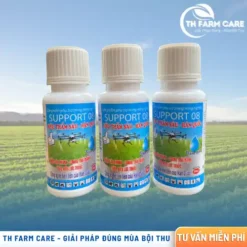 SUPPORT 08 siêu thấm sâu Hàn Quốc chính hãng Xuyên Á Group.
