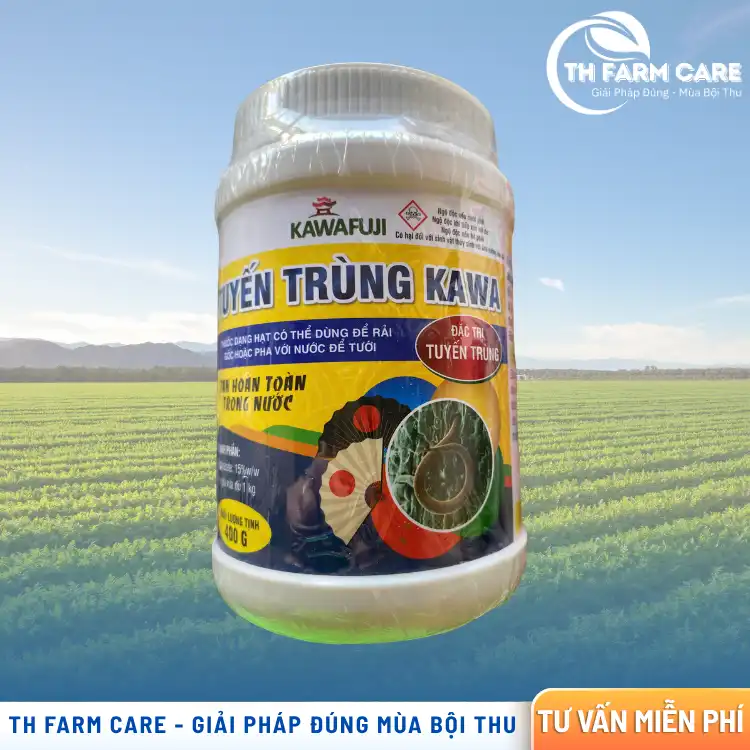 Hình ảnh hai mặt sản phẩm Tuyến Trùng KAWA FOSTER 15GR 400g chứa hoạt chất Fosthiazate dùng phòng trừ tuyến trùng hại rễ trên cà phê, hồ tiêu, sầu riêng và cây ăn quả